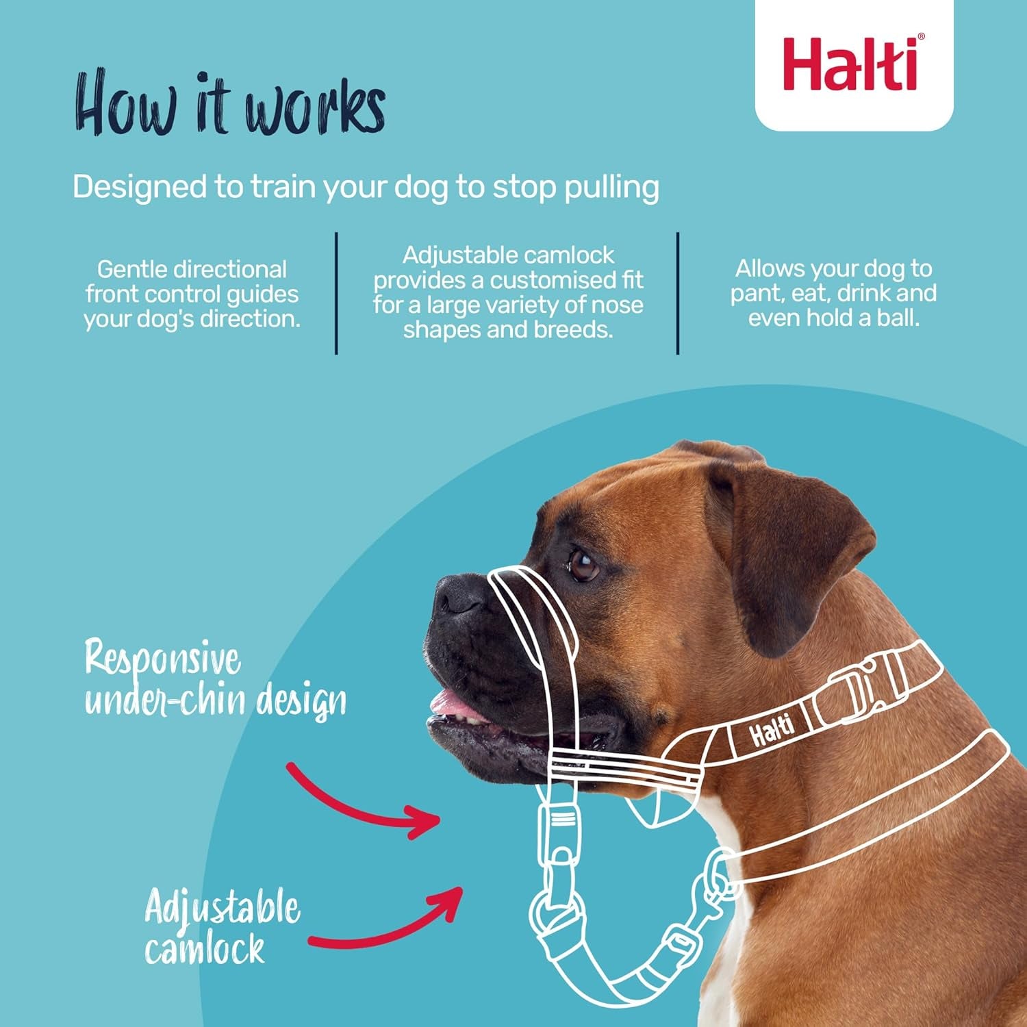 Optifit Headcollar Size Medium, Dog Head Harness to Stop Pulling on the Lead, Easy to Use, Adjustable & Reflective Head Collar for Dogs, Professional Anti-Pull Training Aid, Black