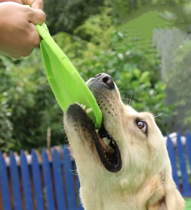 Chew Resistant Flying Disc Perfect for dog fun and puppy training