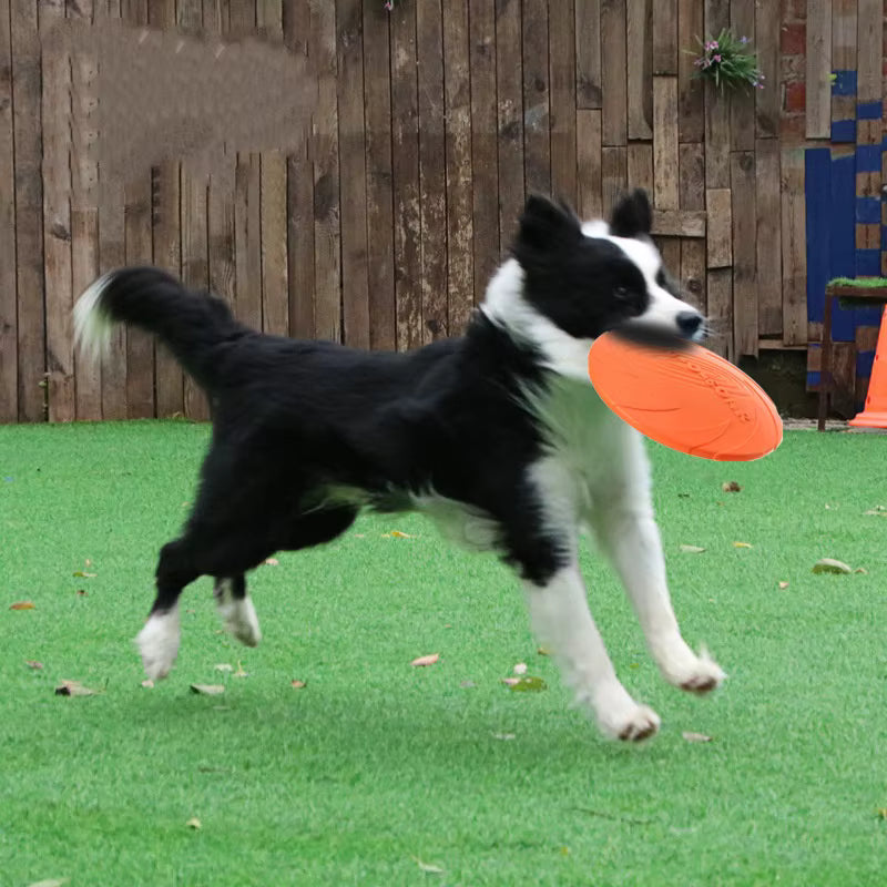 Chew Resistant Flying Disc Perfect for dog fun and puppy training